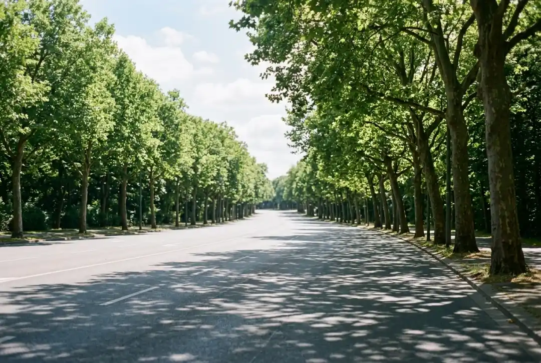 Fahrschule Fahrschule 2Drive in Berlin